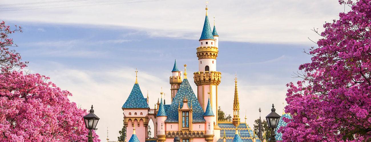 Disneyland Scooter Rental Rent Mobility Scooters