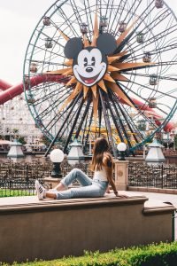 Disneyland Resort And Disney California Adventure Park
